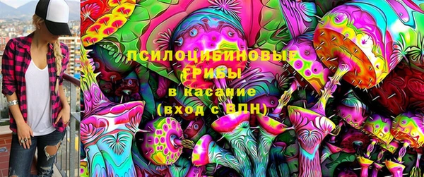 сатива Нефтекумск