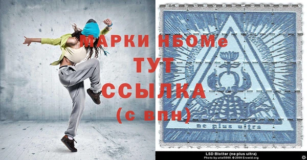 сатива Нефтекумск