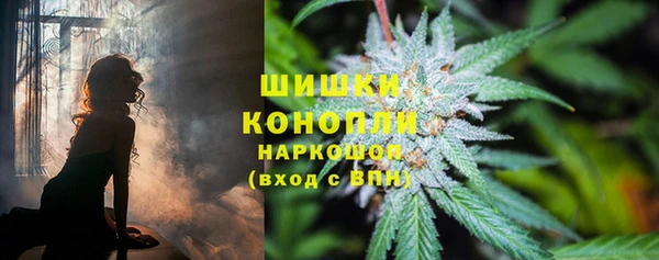 дмт Нефтегорск