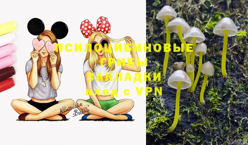 Псилоцибиновые грибы Magic Shrooms  Серов 